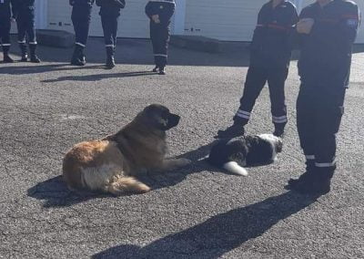 jeunes sapeurs pompiers Dauphiné EST